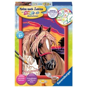 Ravensburger Verlag GmbH Ravensburger Malen nach Zahlen, Pferdetraum Image