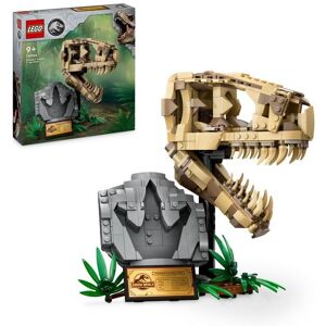 LEGO® GmbH LEGO Jurassic World 76964 Dinosaurier-Fossilien: T.-rex-Kopf, Dino-Spielzeug Image