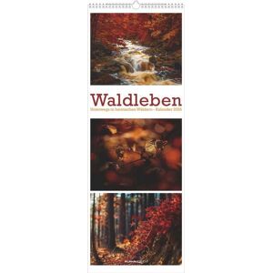 Neumann Verlage GmbH & Co. KG Waldleben - Triplets 2026 - Streifenkalender XXL 25x69 cm - Bildkalender im Hochformat - Naturkalender Image