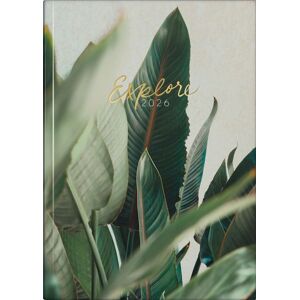 Baier & Schneider "Rido/idé 7021507036   Buchkalender Young Line 2026 ""Explore""   A5, Papier" Image