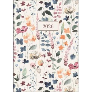 Baier & Schneider "Rido/idé 7028507026   Buchkalender Young Line 2026 ""Watercolor""   A5, Papier" Image