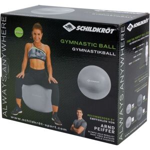 Mts Sportartikel Schildkröt Fitness - Gymnastikball 55cm, silber Image