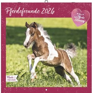 Neumann Verlage GmbH & Co. KG Pferdefreunde 2026 - Broschürenkalender - Kinder-Kalender - Format 30 x 30 cm Image