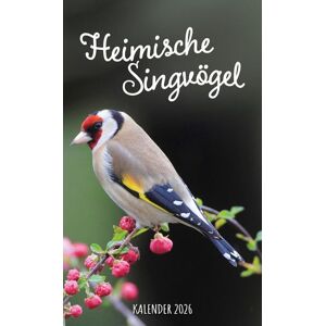 Labonté Buch + Kalender GbR Heimische Singvögel Kalender 2026 Image