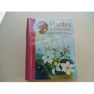 unbekannt - Plantes d'intérieur - Preis vom 18.09.2025 05:07:49 h Image
