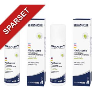 Dermasence Hyalusome Aktiv.Fruchtsäure Creme 2x50ml Image