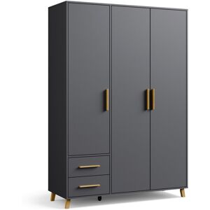 Tchibo rauch Drehtürenschrank »Shinjo« - 140x53x203cm - grau - Holz grau Nonfood https://www.eduscho.at/products/168836298637/rauch-drehtuerenschrank-shinjo?article_id=148531396353 Image