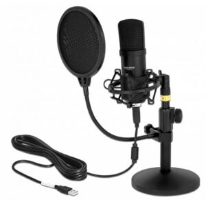 DeLock 66300 - Professionelles USB Kondensator Mikrofon Set für Podcasting und Gaming Image