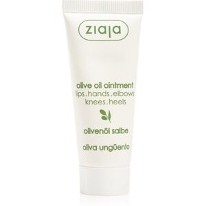 Ziaja Olive Oil Olivensalbe für trockene bis atopische Haut 20 ml Image