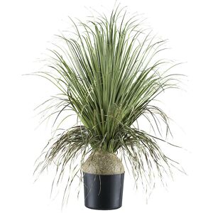 kaiserkraft Künstliche Pflanze Beaucarnea, Kunststofftopf, Höhe 680 mm Image