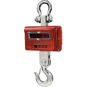 Kranwaage, robuste Ausführung, Wägebereich bis 1000 kg, Ablesbarkeit 100 g KERN Image