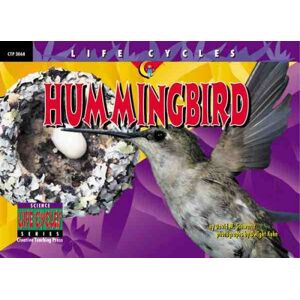 Schwartz, David M. - Hummingbird (Life Cycles) - Preis vom 18.09.2025 05:07:49 h Image