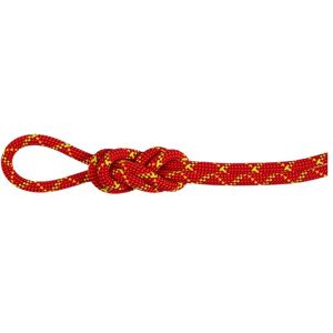 Mammut Imprägniertes, dynamisches Doppelseil mit hoher Schnittfestigkeit 8.0 Alpine Core Protect Dry Rope Unisex Image
