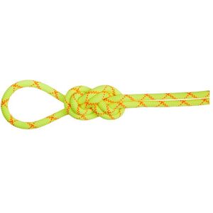 Mammut Imprägniertes, dynamisches Einfachseil mit hoher Schnittfestigkeit 9.5 Alpine Core Protect Dry Rope Unisex Image
