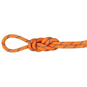Mammut Allround-Seil für Bergsteigen, Eis- und Tradklettern 9.0 Alpine Sender Dry Rope 60m Unisex Image