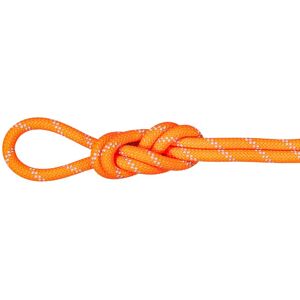 Mammut Imprägniertes Einfachseil für alpines Klettern 9.5 Alpine Dry Rope 70m Unisex Image