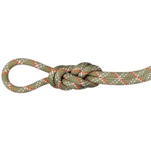 Mammut Erstklassiger Allrounder für die Kletterhalle 9.5 Gym Classic Rope 40m Unisex Image