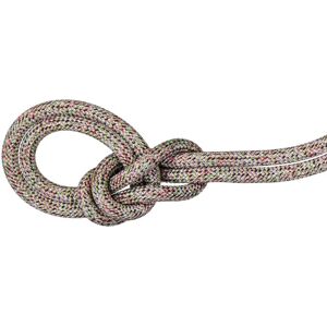 Mammut Einfachseil aus ressourcenschonender Produktion 9.5 Crag We Care Classic Rope 50m Unisex Image