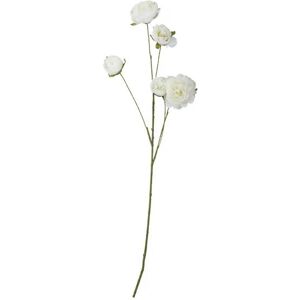 Höffner Deko Peonie ¦ weiß ¦ Kunststoff ¦ Maße (cm): H: 110 Image