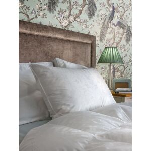 Laura Ashley Laura Ashley Hochwertiges Kissen aus 100% Baumwolle Gänsefedern und -daunen Image
