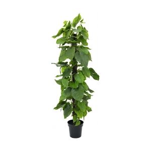 Europalms Pothos Plant, artificial plant, 180cm TILBUD NU plante Image