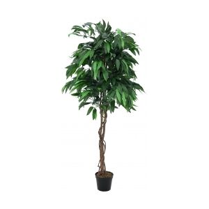 Europalms Jungle tree Mango, artificial plant, 180cm TILBUD NU træ Image