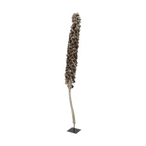 Europalms Cacho coco ca. 120-190cm TILBUD NU Image