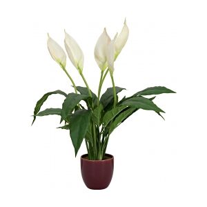 Europalms Lily Peace, artificial plant, 49cm TILBUD NU Image