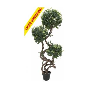 Europalms Ficus spiral trunk, artificial plant, 160cm spiralformet spiralstamme Image