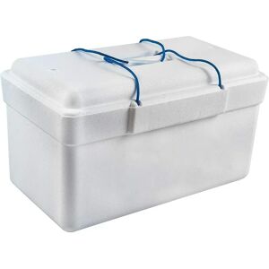 Ninguno UD - Nevera Portátil de Poliespán Rectangular – Ligera y Aislante   Ideal para Playa, Camping, Fiestas y BBQ Image