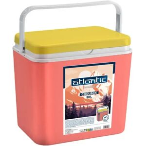 Ninguno TODOBIEN STORE - Nevera Portátil Térmica capacidad 24L/30L - Cool Box Resistente de Polipropileno - Ideal para Camping, Playa, Jardín, Barbacoas y Piscina. Image