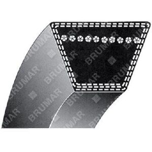 NEWGARDEN Correa trapecial sección 5L - tipo B 119 pulgadas COMPATIBLE MULTIMARCA - 047233 Image