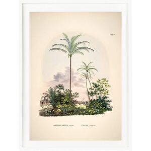 - Lámina Palmeras de Cielo The Dybahl + Marco Thor El Corte Inglés. Blanco Image