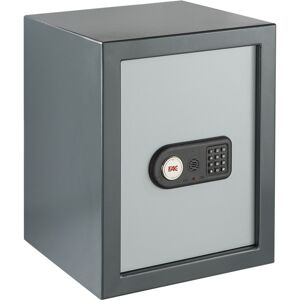 FAC Caja Fuerte de Sobreponer Evolución 104 IES con Sistema Integral. Gris oscuro / Gris claro Image