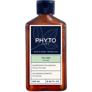Phyto Champú voluminizador volume para cabellos finos 250mL Image
