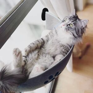 SHUANGMAO Offre spéciale hamac pour animaux de compagnie lits portant 20kg chat fenêtre chaise longue aspiration hamac chat fenêtre étagère confortable chat furet lit pour animaux de compagnie Image