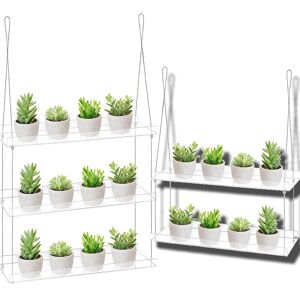 Aucun Étagères transparentes en acrylique pour plantes succulentes, tulipe, fenêtre de salon, support mural pour fleurs de jardin, étagères de balcon pour plantes Image