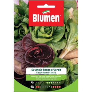 Blumen Semi Misticanza di cicorie grumolo rosso e verde Image