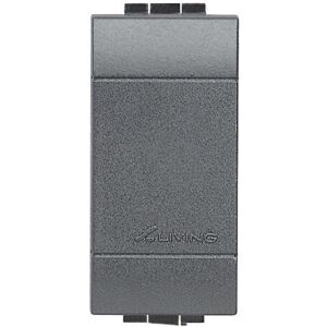 Bticino Livinglight Falso polo 1 modulo antracite Smart Home Image