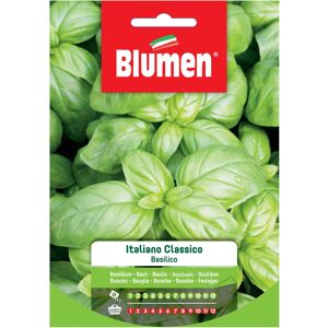 Blumen Semi Basilico italiano classico 20 g Image