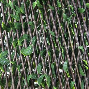 Siepe artificiale Osmanthus 3D in HDPE 1x2 m verde/marrone Image