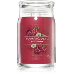 Yankee Candle Red Raspberry candela profumata Signature 567 g Image