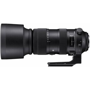 Sigma 60-600mm f/4.5-6.3 DG OS HSM Sports Canon- ITA - Pronta consegna Image