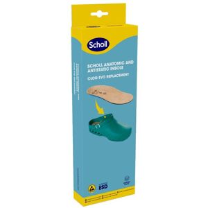 Scholl CLOG EVO ANAT ANT INS MIC39-40 Image