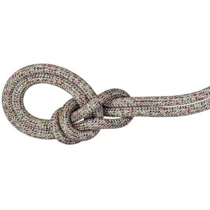 Mammut 9.5 Crag We Care Classic - corda singola White/Red 60 m Image