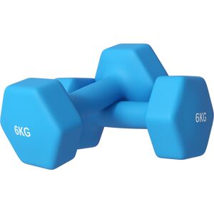 Sportnow Set 2 Manubri Esagonali da 6kg in Metallo e Plastica con Impugnatura Antiscivolo, 22x10x10 cm, Azzurro Image