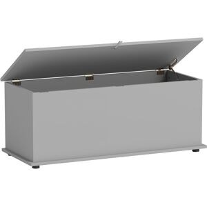 Homcom Baule contenitore, panca contenitore con coperchio ribaltabile e cerniere di sicurezza, 100 x 40 x 40 cm, grigio   Aosom Italy Image