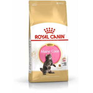 Royal Canin Italia Spa Fbn Maine Coon Kitten 400g Image