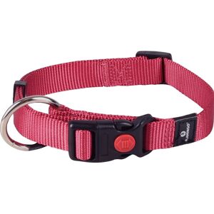 Antica Farmacia Orlandi Flamingo Cane Collare In Nylon "Ziggi" 15 Mm X 30-45 Cm Rosso Ciliegia Image