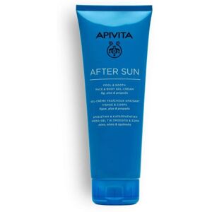 Apivita Sa Apivita After Sun – Crema Gel Doposole Lenitiva 200ml Image
